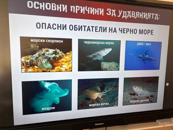 ВОДНА БЕЗОПАСНОСТ ЗА ДЕЦА